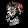 Ash Koosha : I AKA I (CD, Album)