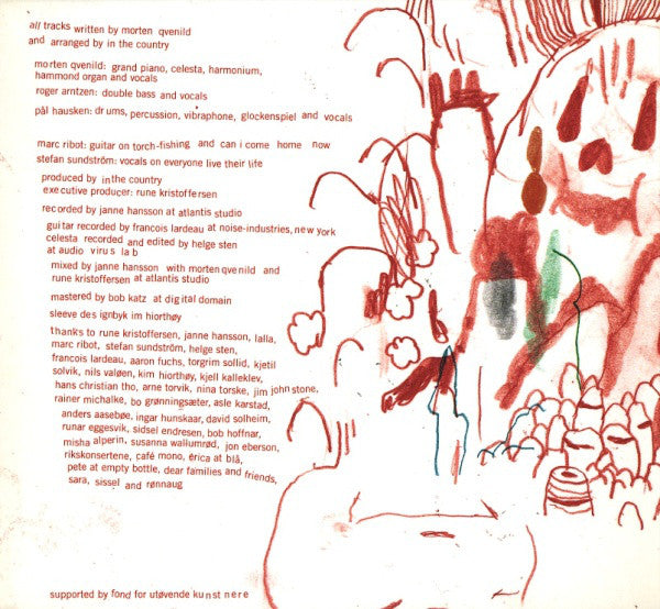 In The Country : Losing Stones, Collecting Bones (CD, Album)