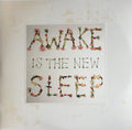 Ben Lee : Awake Is The New Sleep (2xLP, Album, Ltd, 180)