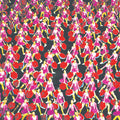 Greys (2) : Outer Heaven (LP, Album, Ltd, Whi)