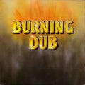 The Revolutionaries : Burning Dub (LP, Album, Ltd, RE, 180)