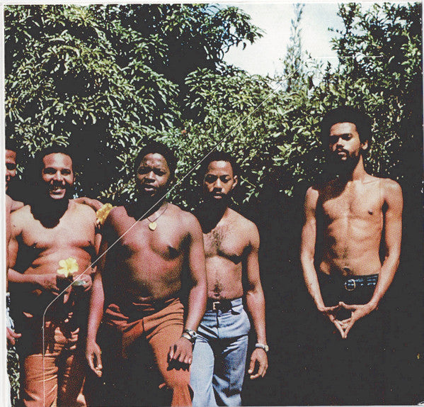 Les Vikings De La Guadeloupe : Enko On Ti Tou (1966-2016) (CD, Comp)