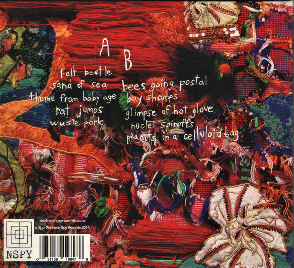Cloud Becomes Your Hand : Rocks Or Cakes (CD, Album)