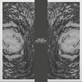 Necro Deathmort : The Capsule (LP, Album)