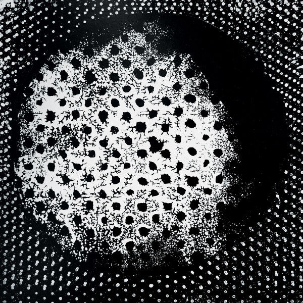 Biosphere : Patashnik (2xLP, Album, RE)