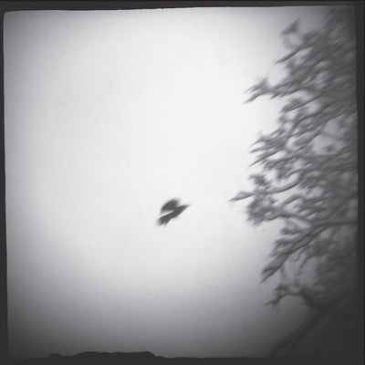 Thalia Zedek Band : Eve (LP, Album)