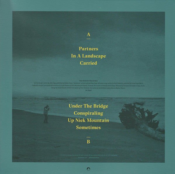 Peter Broderick : Partners (LP, Album)