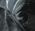 Spin Marvel : Infolding (CD, Album)