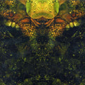 House Of Low Culture : Edward's Lament! (CD, Album)