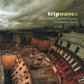 Various : Tripwave 2 (Collection Of Modern Russian Psychedelic Music) (CD, Comp, Ltd)
