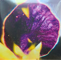 FIS (2) : From Patterns To Details (LP, Album)