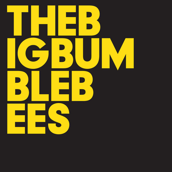 The Big Bumble Bees : The Big Bumble Bees (CD, Album)