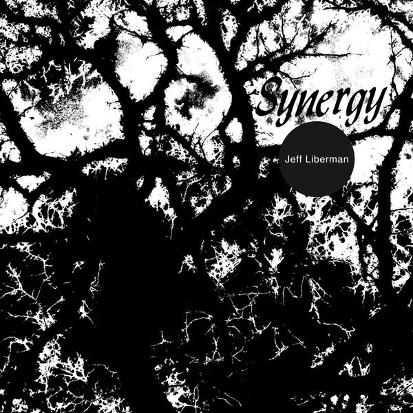 Jeffery Liberman : Synergy (LP, Album, RE, RM)