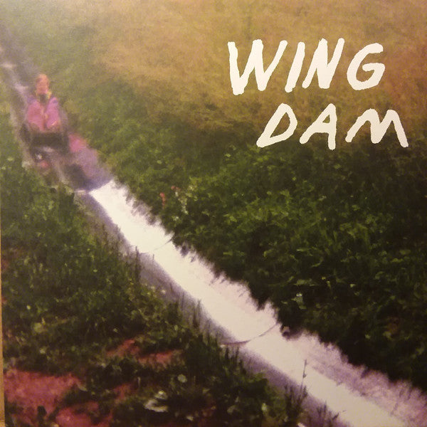 Wing Dam : Glow Ahead (LP, Album)