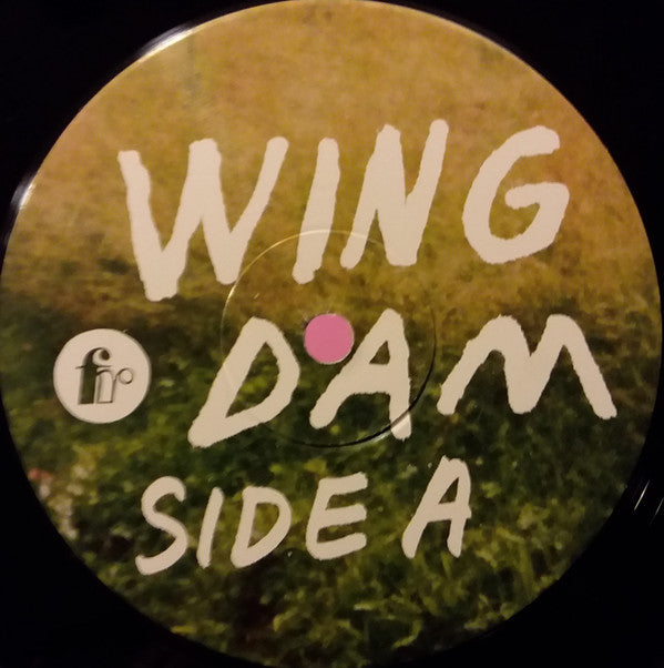 Wing Dam : Glow Ahead (LP, Album)