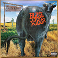 Blink-182 : Dude Ranch (LP, Album, RE, 180)
