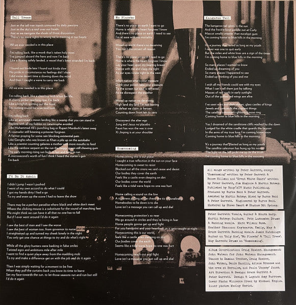 Peter Garrett : A Version Of Now (LP, Album)