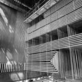 Thermic Boogie : Vastness And Matter (LP, Album, Ltd, Whi)