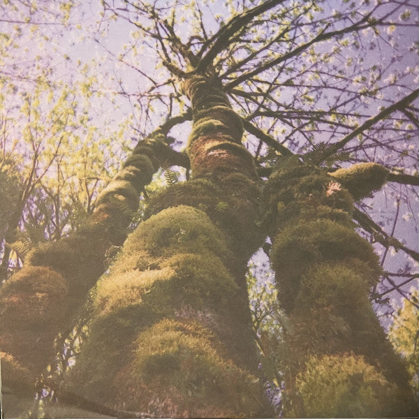 Benoit Pioulard : The Benoît Pioulard Listening Matter (12", Album)