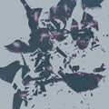 Chasms (2) : On The Legs Of Love Purified (LP, Album, Ltd)
