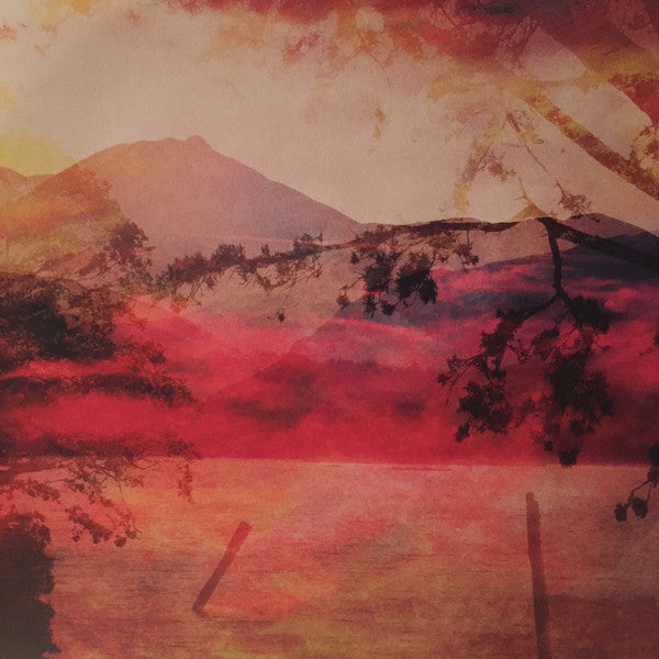 Josienne Clarke And Ben Walker : Overnight (LP, Album)