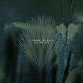 Thomas Giles Rogers Jr. : Velcro Kid (2xCD, Album, Dlx)