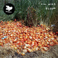 Kim Myhr : Bloom (LP, Album)