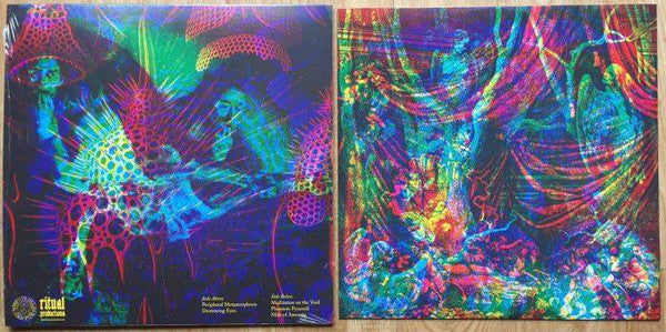 11PARANOIAS : Reliquary For A Dreamed Of World (LP, Album)