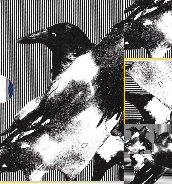 Ruxpin : We Become Ravens (CD, Album)