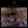 Ra (29) : Then I Woke Up In Paradise (CD, EP)
