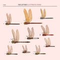 The Liftmen : Luftwaffe Pond (CD, Album, Dig)