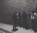 Fews : Means (CD, Album)