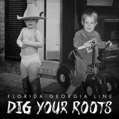 Florida Georgia Line : Dig Your Roots (CD, Album)