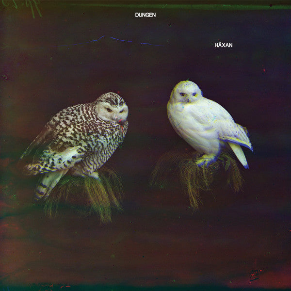Dungen : Häxan (CD, Album)