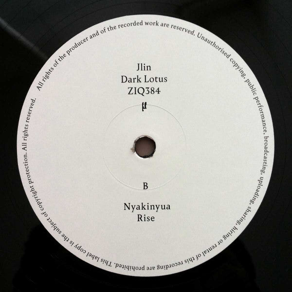 Jlin : Dark Lotus (12")