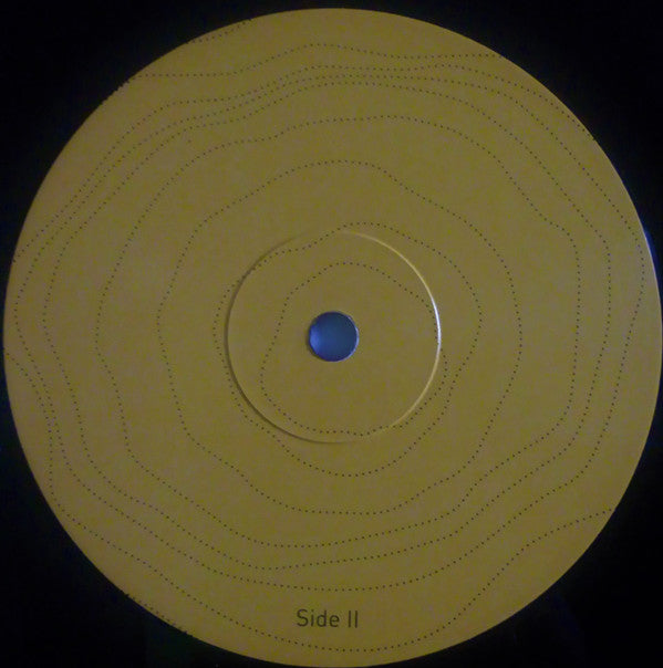 The Memory Band : A Fair Field (LP)