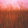 Nostalgia 77 : Everything Under The Sun (CD, Album)
