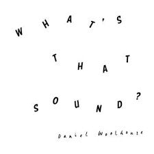 Daniel Woolhouse : What's That Sound? (CD, Album, Dig)