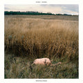 Sinai Vessel : Brokenlegged (CD, Album)