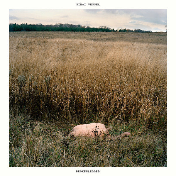 Sinai Vessel : Brokenlegged (CD, Album)