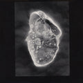Luciano Lamanna : In Vitro (2xLP, Ltd)