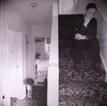 David Burdon : Accidental Aesop (CD, Album)