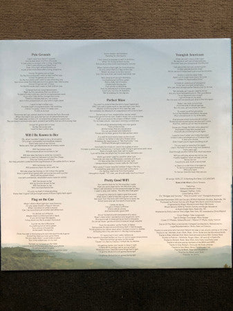 Dams Of The West : Youngish American (LP, Album)